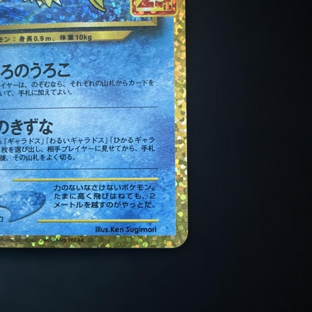 ひかるコイキング: プロモ (25th ANNIVERSARY edition)