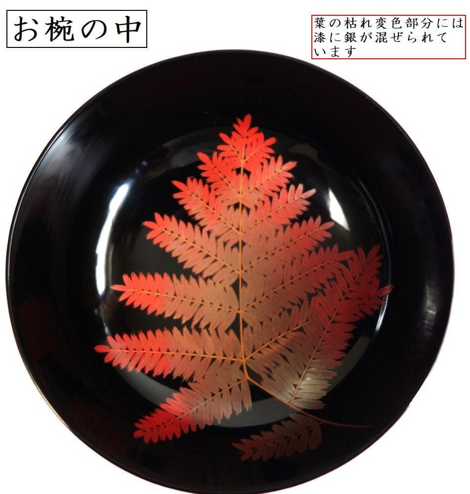 輪島塗 羊歯文様 大振り椀 ５客