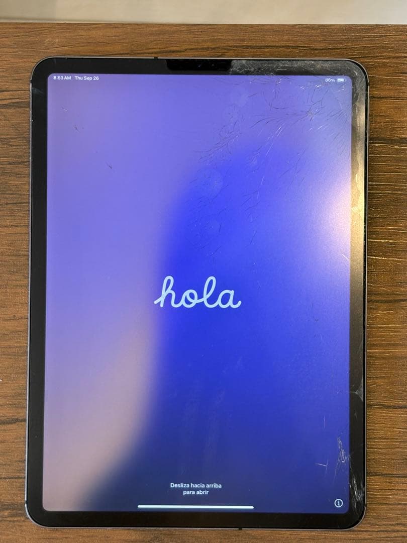 ジャンクiPad Pro 11 第1世代