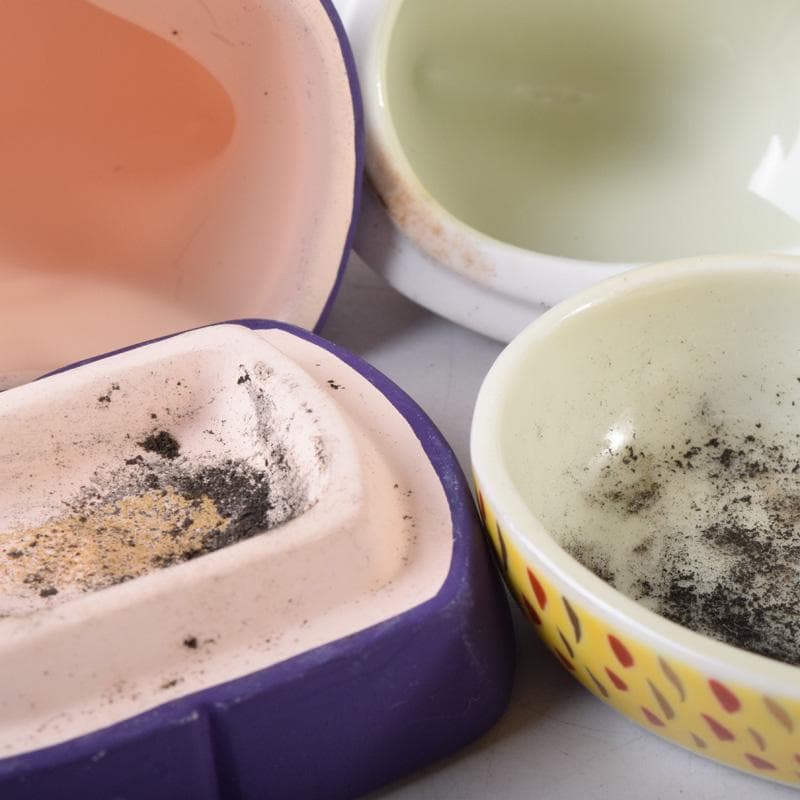 茶道具　楽山作　立雛他　干支　水鳥など　色絵香合　6点まとめて　N　8222