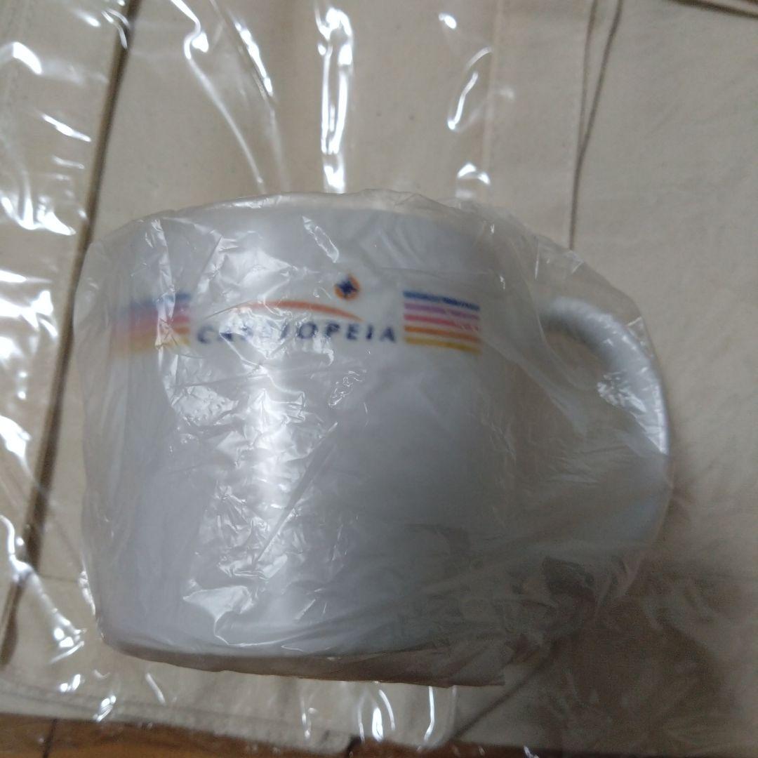 カシオペア　グッズ　限定品