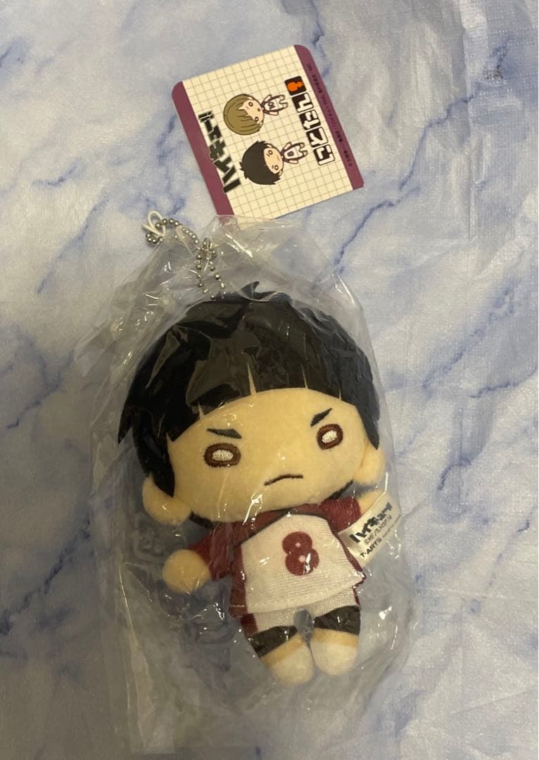 シクフォニ 缶バッジ 第3弾 ACE