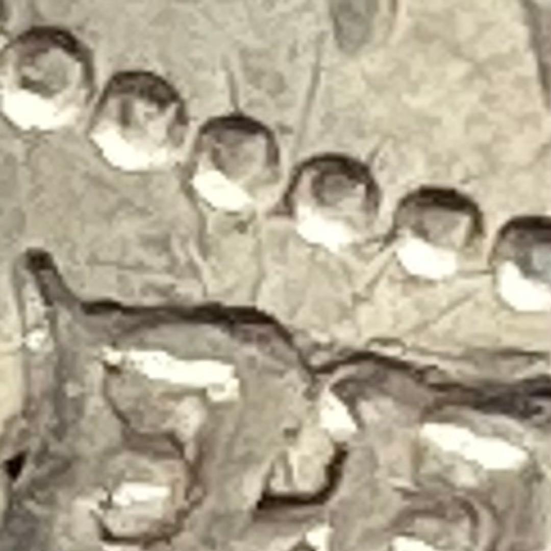 手変り【連点・短銭+極短銭・二重ハネ本】旭日竜大型50銭銀貨　明治3年　クリーン