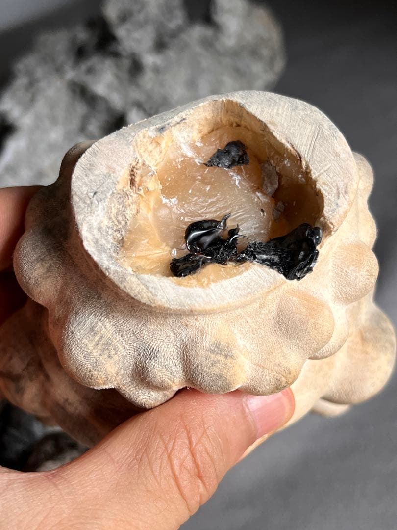 古美術 太湖石・時代物・天然古賞石 置物・古賞物・古擺件 中国美術 唐