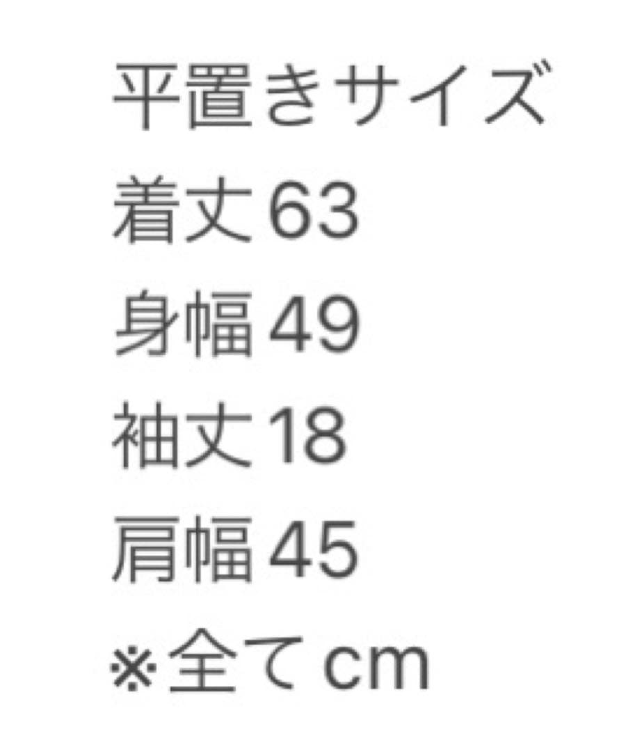 HanesヘインズJustin BieberジャスティンビーバーTシャツ両面 - メルカリ