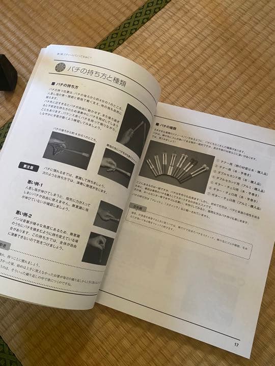 スティールパン、スタンド、ハードケースセット Panland