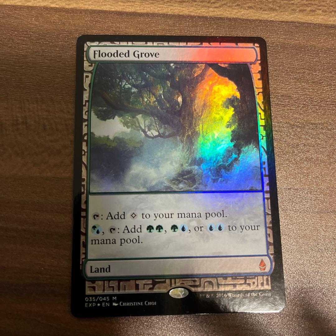 MTG EXP 溢れかえる果樹園　エクスペディション　FOIL 英)【Foil】溢れかえる果樹園 / Flooded Grove【EXP】 No.035｜MtG通販