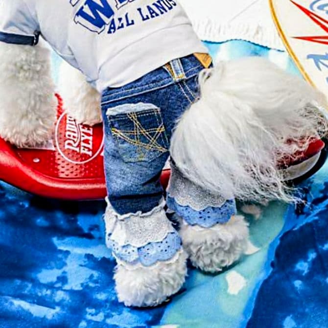 新品タグ付き レース☆デニムPT asknowasdewan アズノウアズデワ