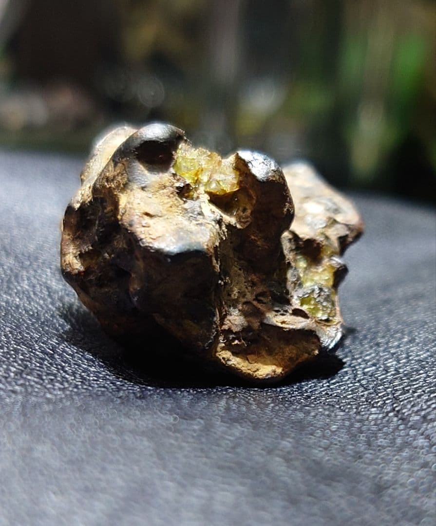 隕石 イミラック パラサイト 22.7g Imilac ⭐