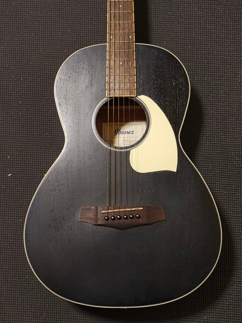 Ibanez PN14-WKオールマホガニー/ソフトケース