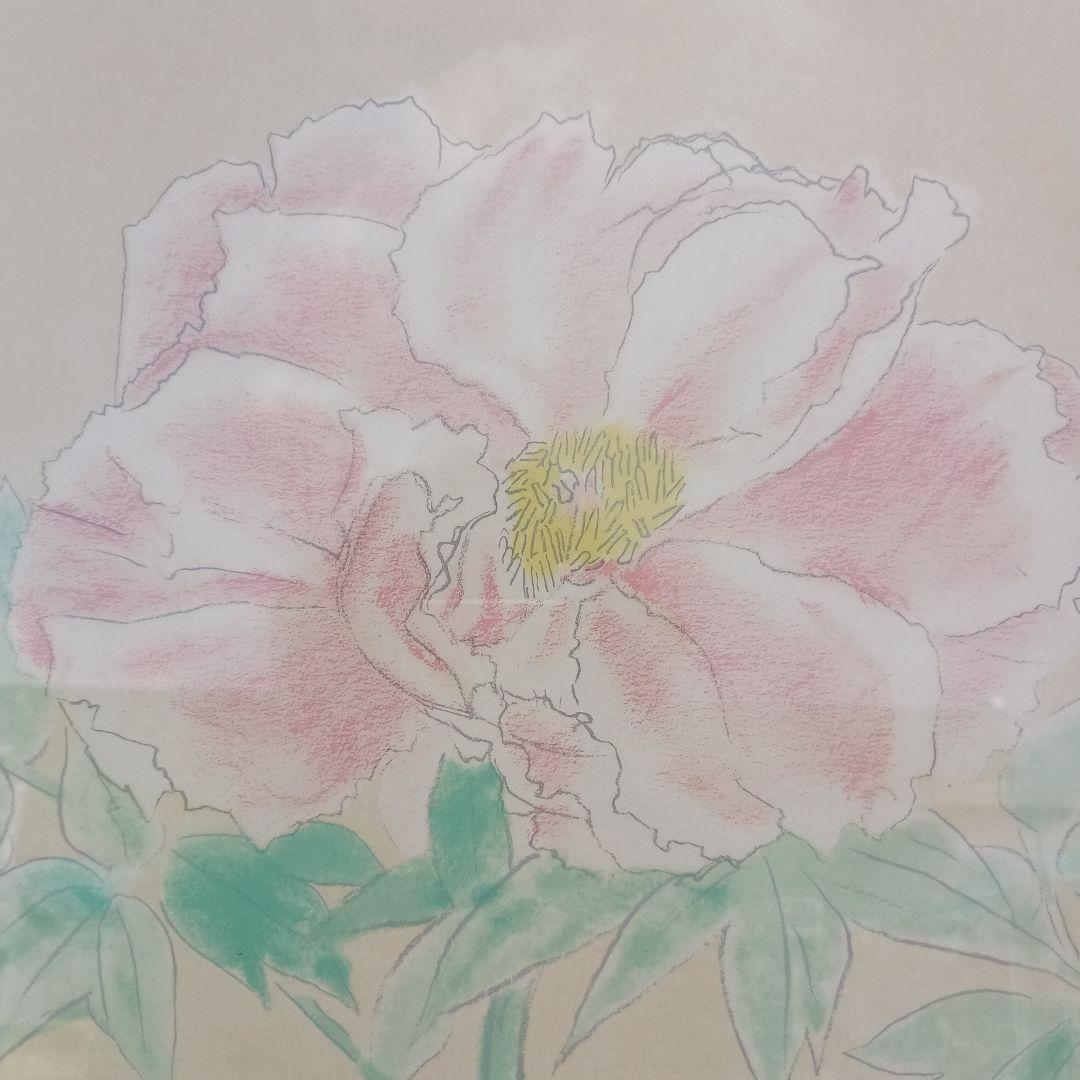 3657）奥村土牛 牡丹素描 リトグラフ