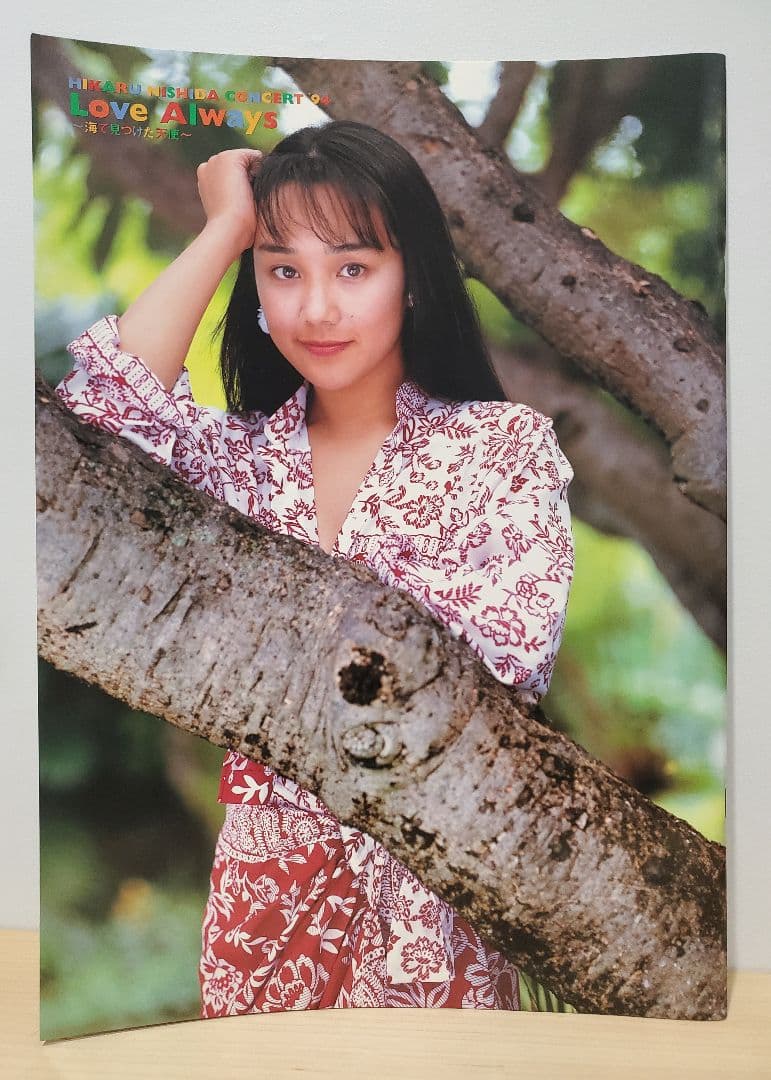 西田ひかる '94コンサートパンフレット【極美品】 - メルカリ