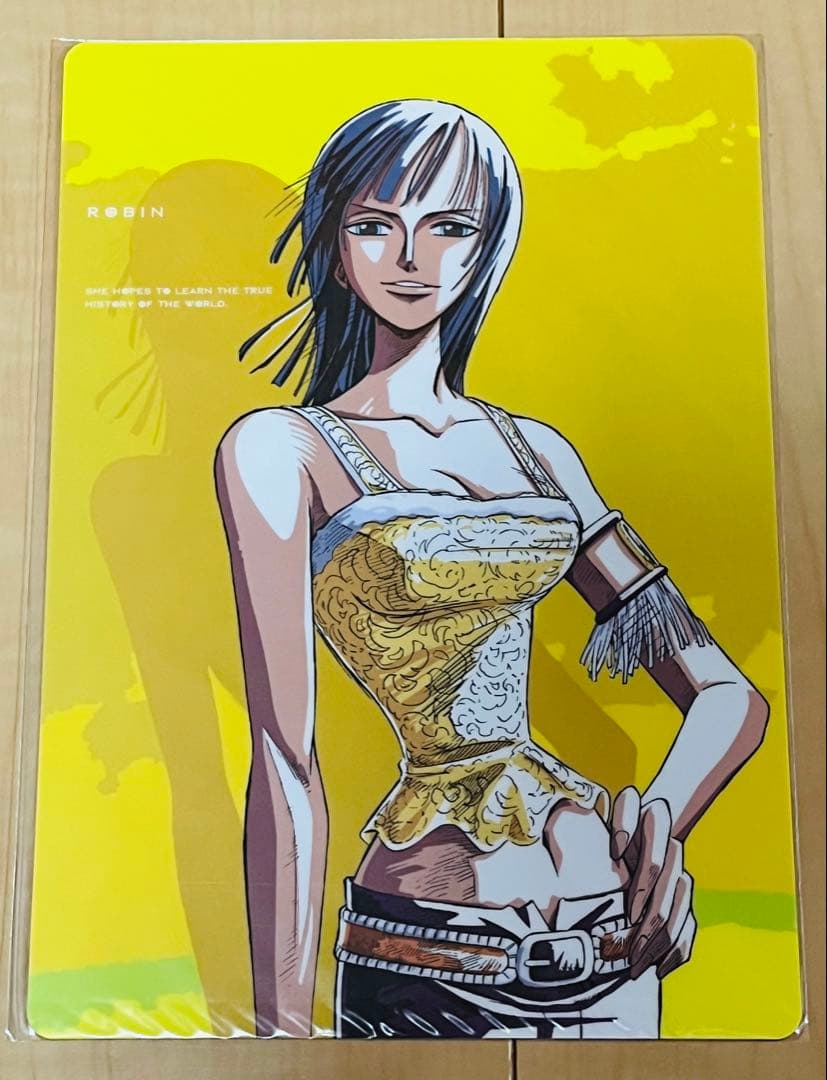 ワンピース 下敷き ルフィ ゾロ ナミ サンジ ロビン ONEPIECE レア