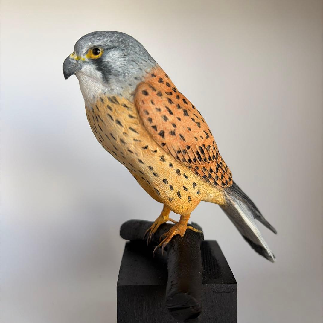 チョウゲンボウ 木彫りの野鳥 野鳥彫刻 リアルバードカービング