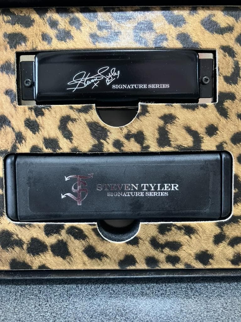 【未使用美品】Hohner スティーブンタイラー シグネチャーモデル　ハーモニカ