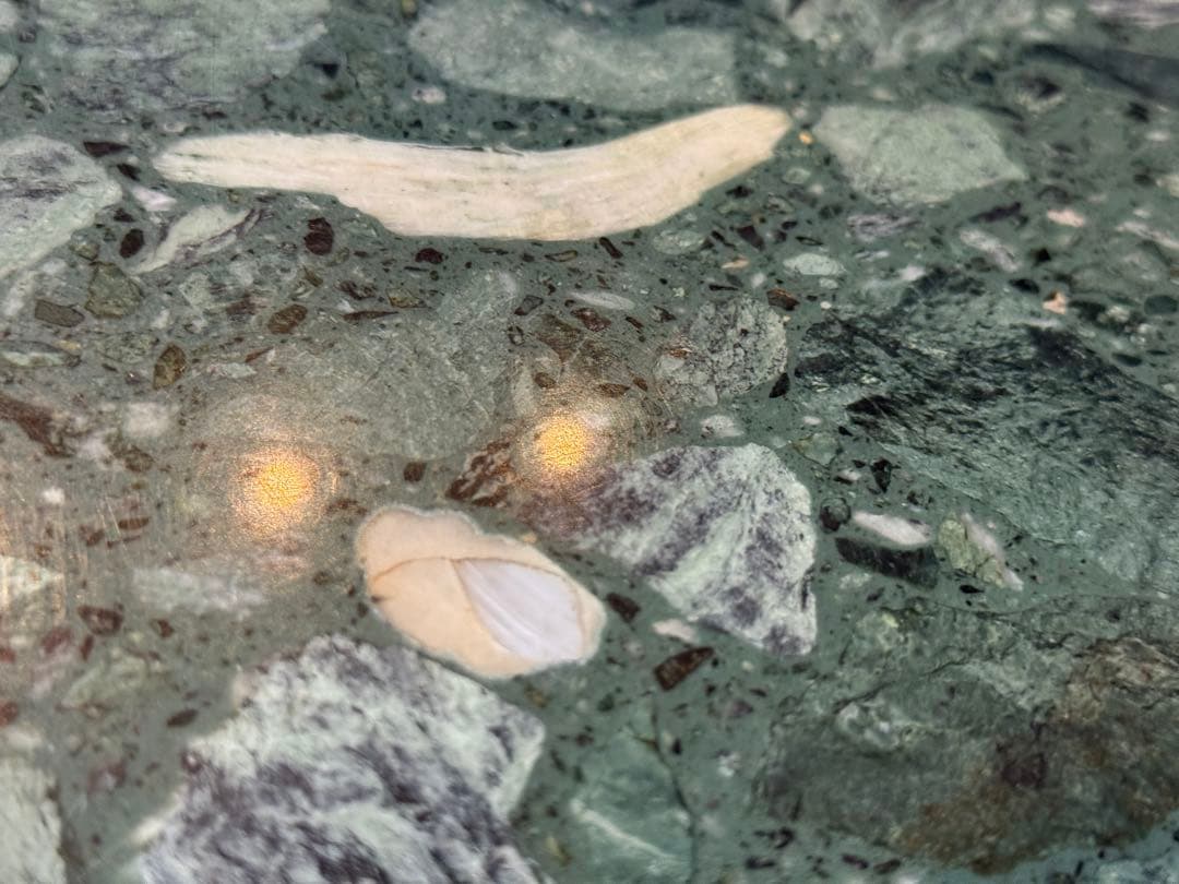 大理石　センターテーブル　ローテーブル　グリーン　クラシック　猫脚　アンティーク