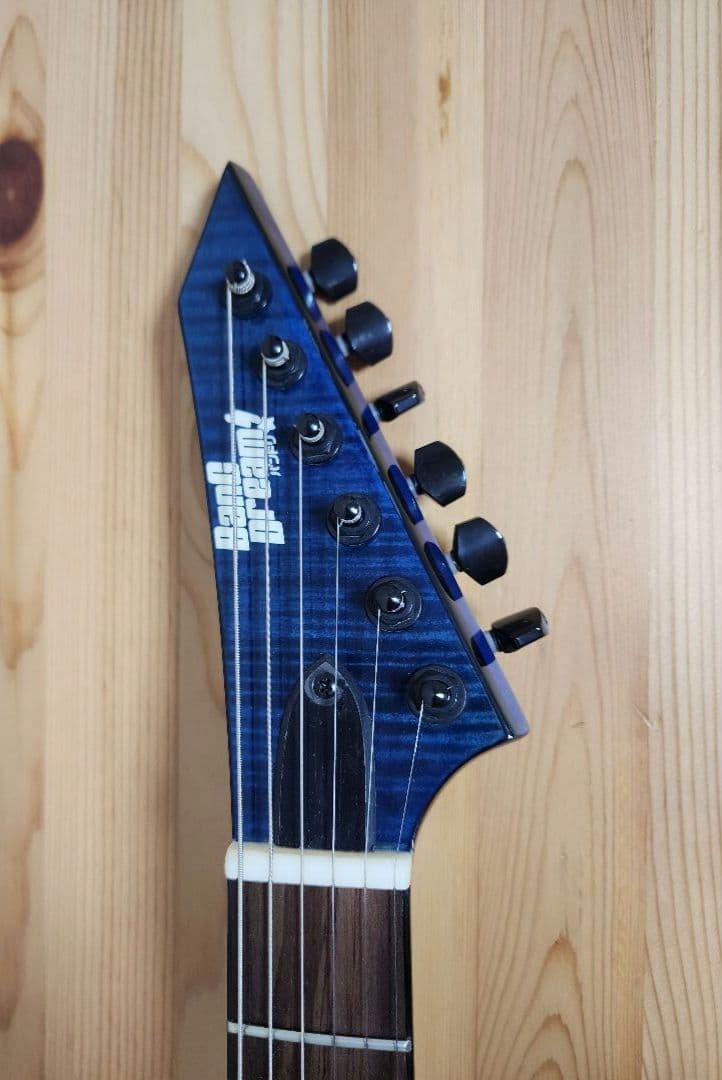 ESP M-II SAYO BanG Dream! ROSELIA 氷川紗夜　他