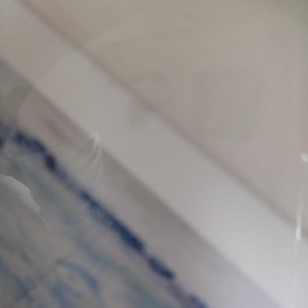 レスリー・セイヤー　ポスター額　アート　大きい