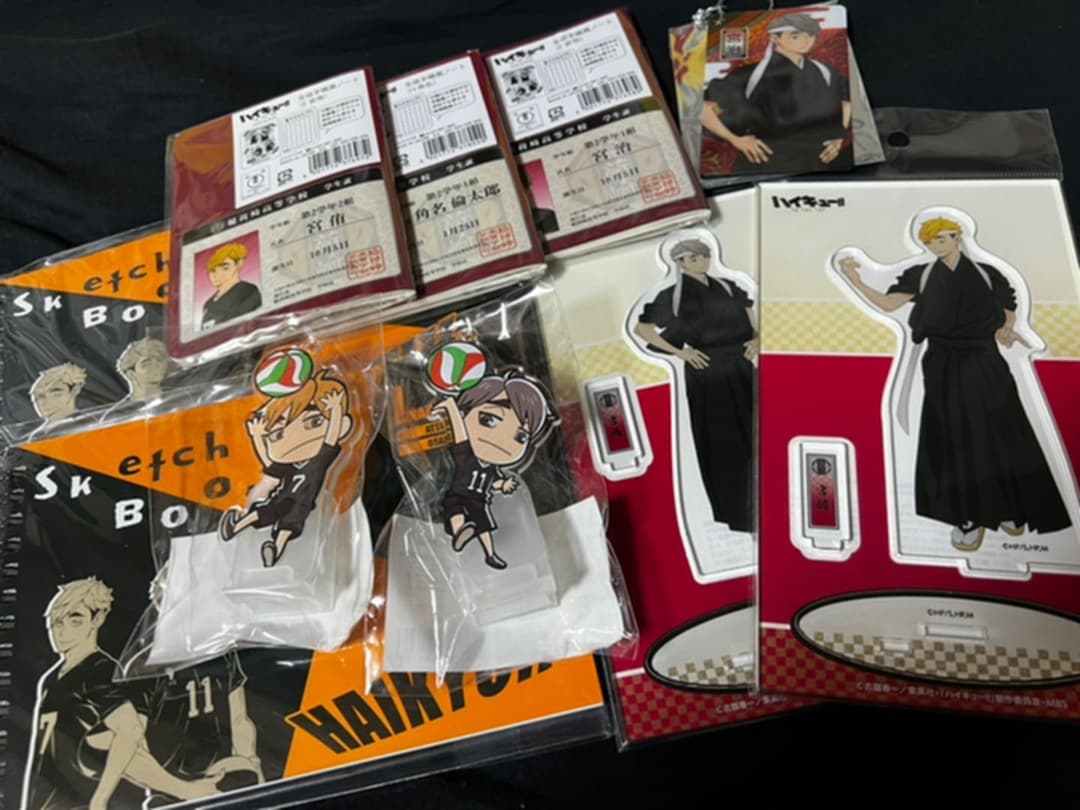 川口春奈さんサイレント＜Steven Alan＞DOKING SALOPETT