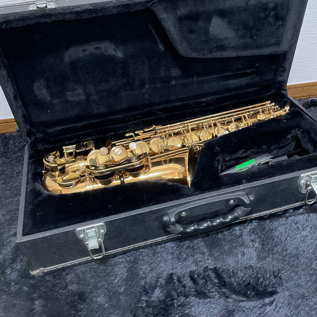 DG カホン 廃盤の通販はau PAY マーケット - 輸入雑貨のネットストア