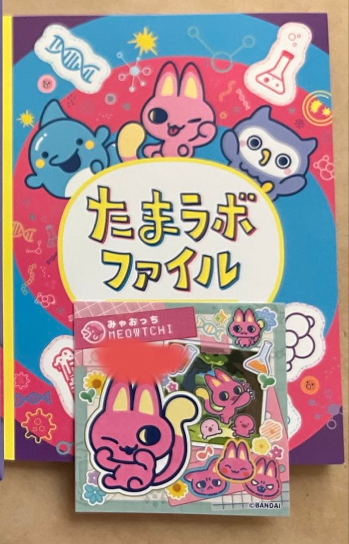 家庭教師ヒットマン REBORN! トランプ ジャンフェス2009 限定 希少