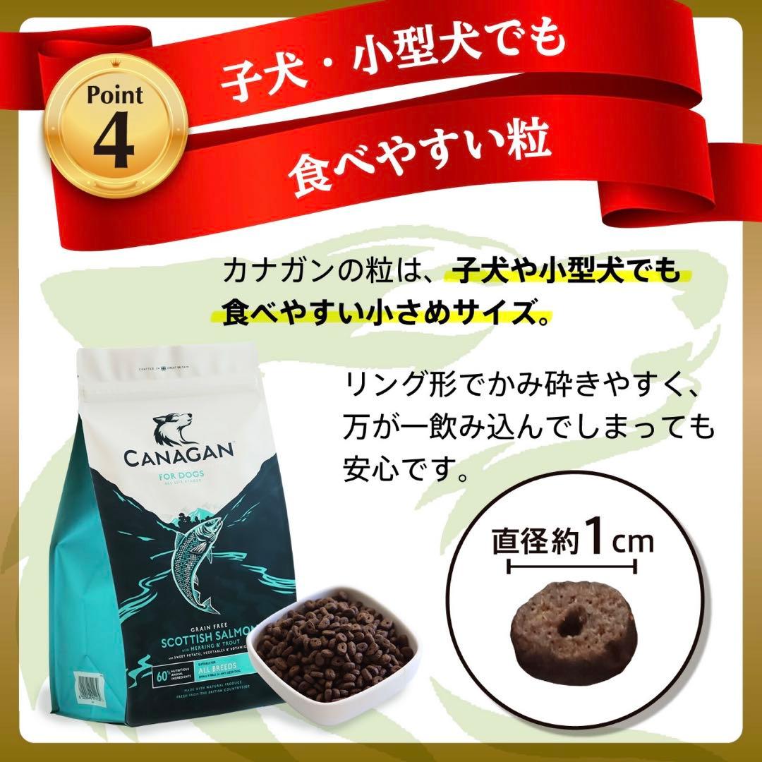 カナガン スコティッシュサーモン ドッグフード 未開封2kg 3袋 再