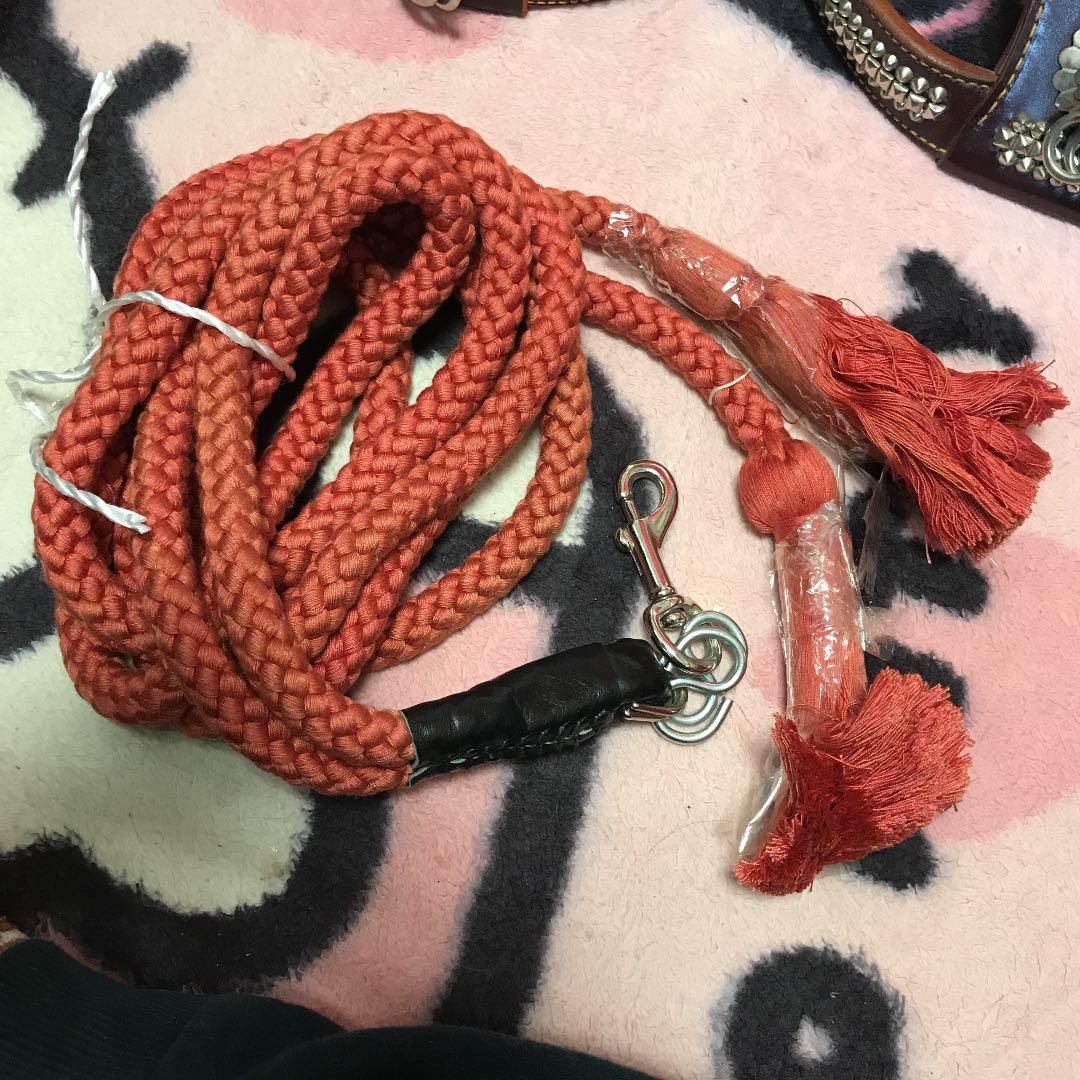 土佐闘犬用の化粧引き綱