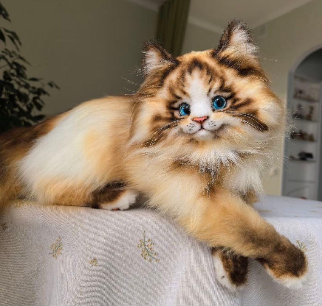 海外作家様作　アートドール　猫　ラグドール 海外作家様作 アートドール 猫 ラグドール