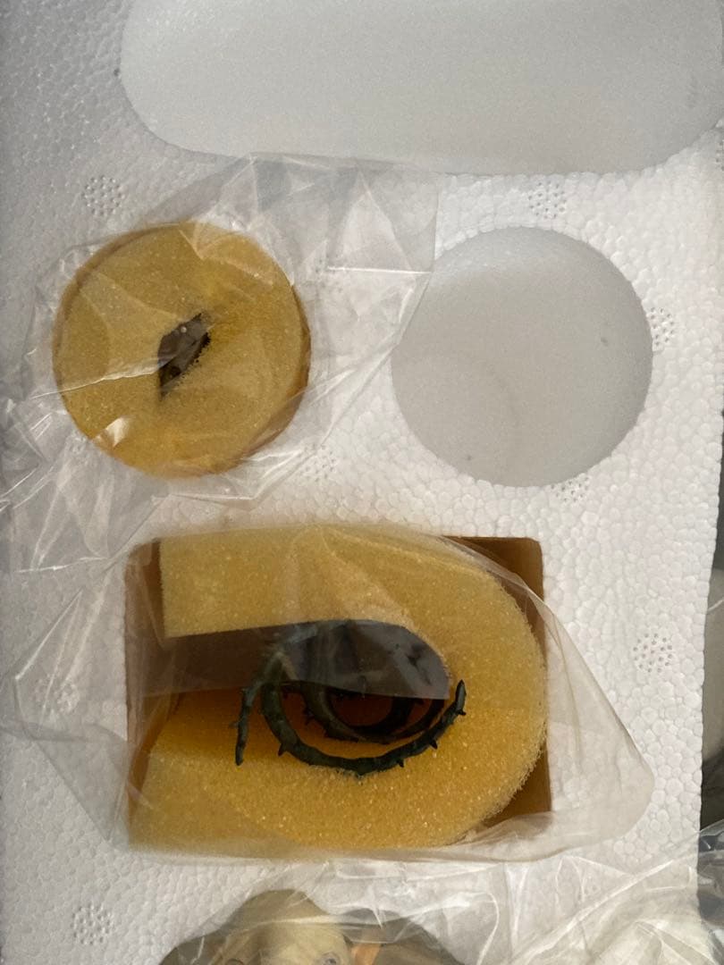 s*n様 未使用‼️ベルセルク 髑髏の騎士 騎乗II