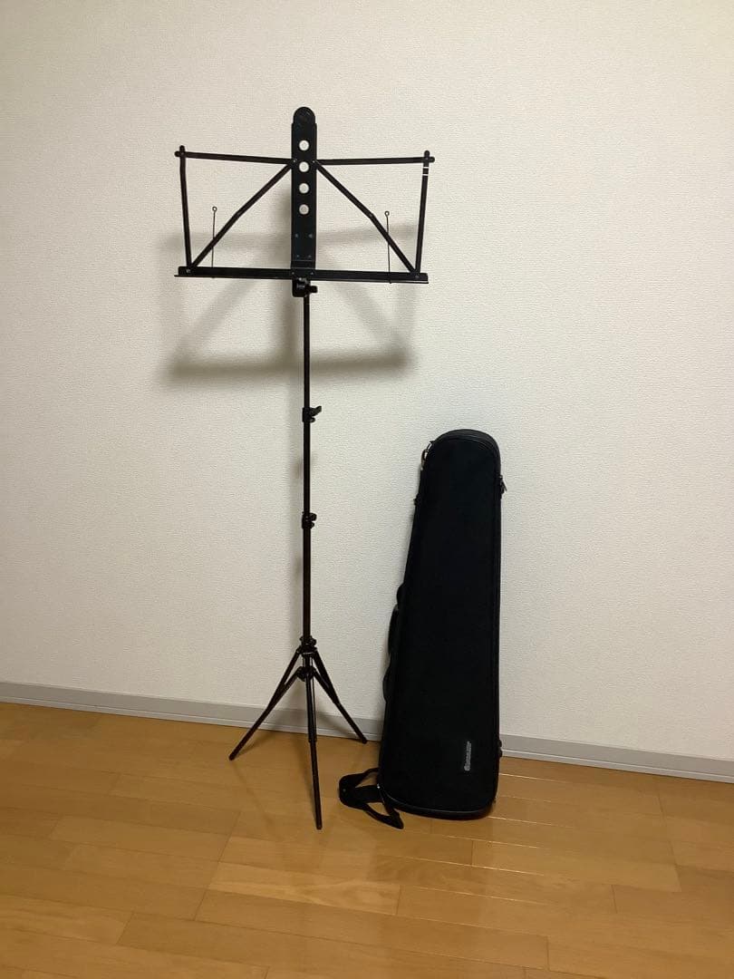 バイオリン本体とハードケース　イーストマン