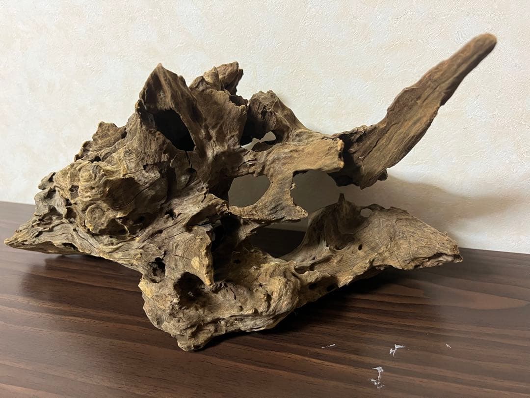 XM-202) 流木マシンガンウッドアクアリウム沈水確認済ブランチウッド