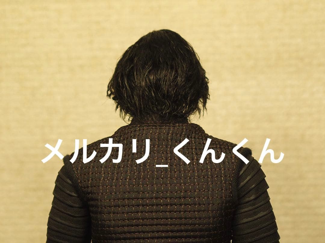 植毛 カスタムヘッド カイロ・レン ホットトイズ 1/6 スターウォーズ