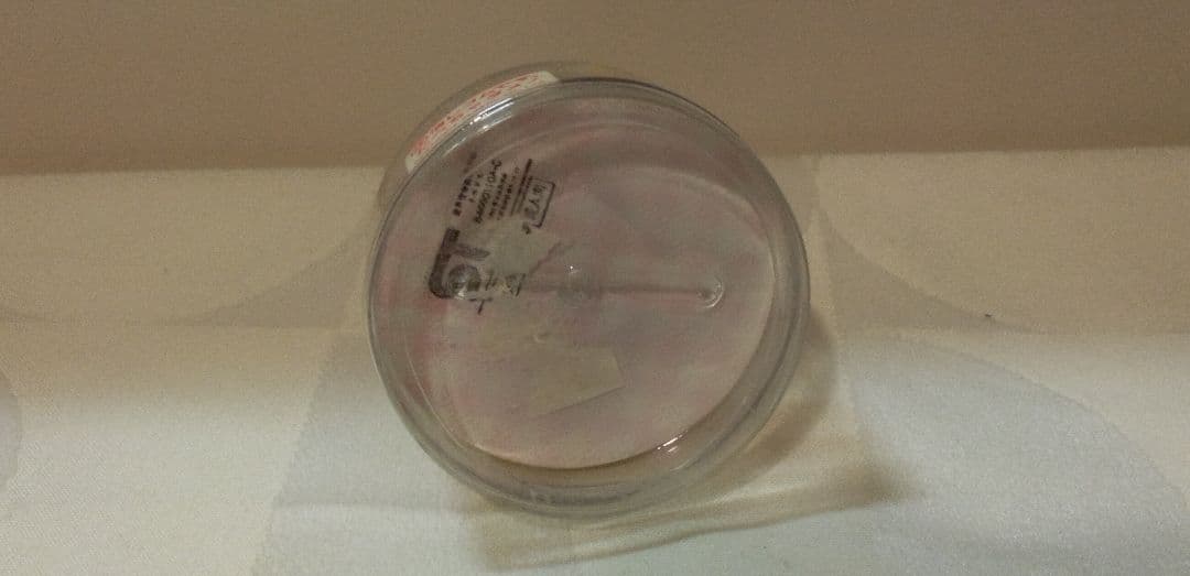 昭和レトロ ショートケーキ 消しゴム シュガーキッズ JP80年代