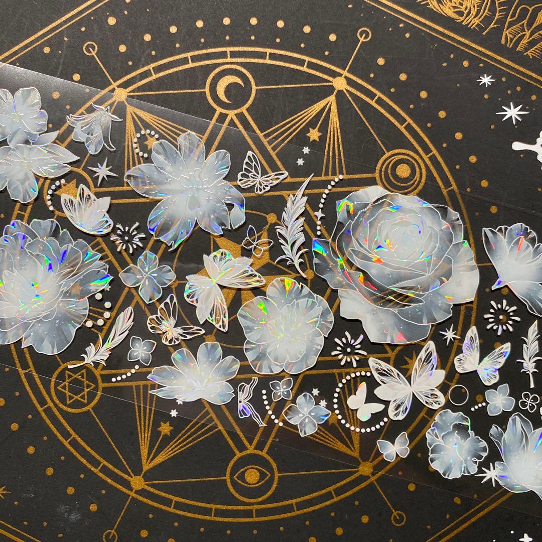 9253】海外 マステ 中古巻 貝殻光マスキングテープ 半透明 お花 - メルカリ