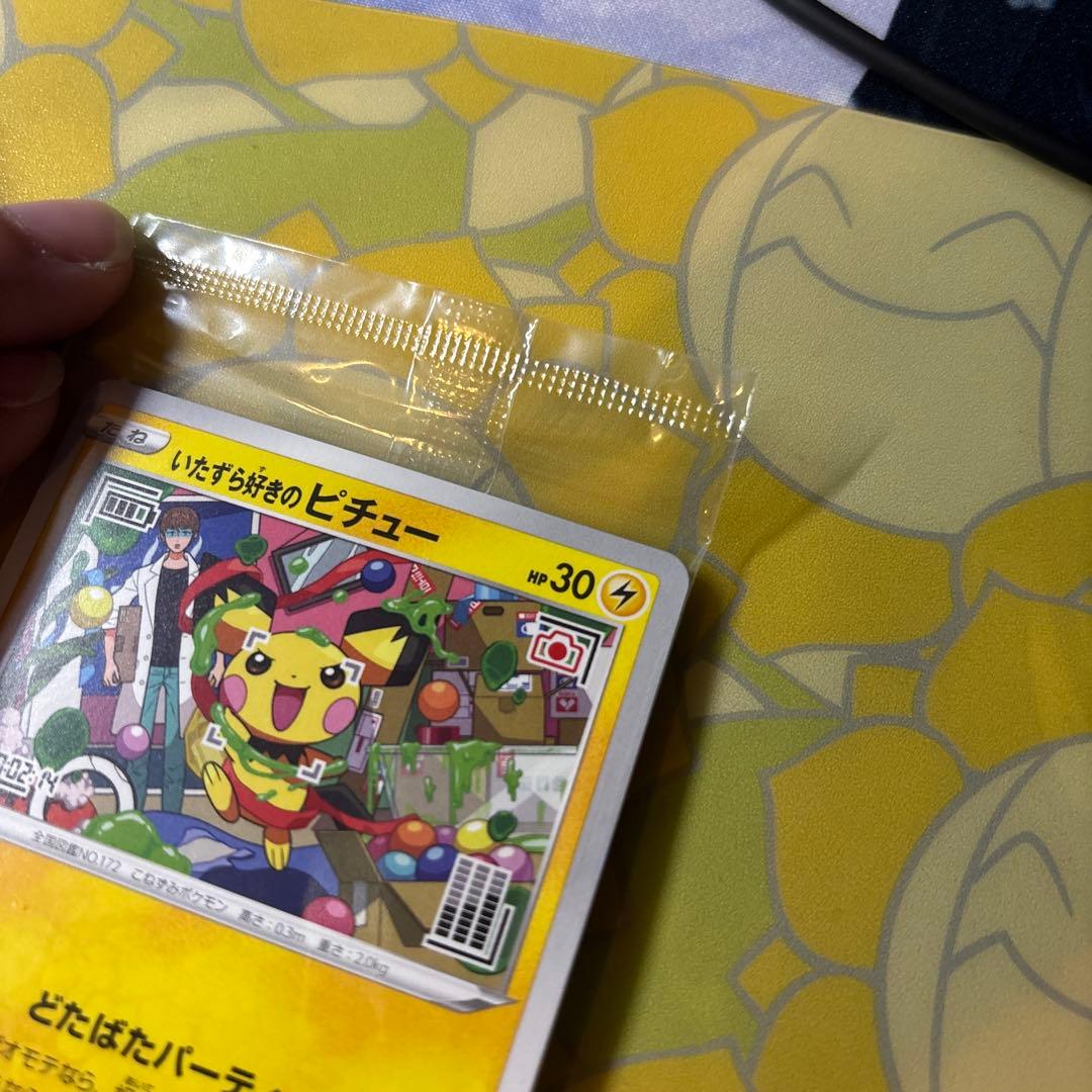 な*お様 ナガバ ピカチュウ（開封済み） いたずら好きのピチュー（未開封） プロ