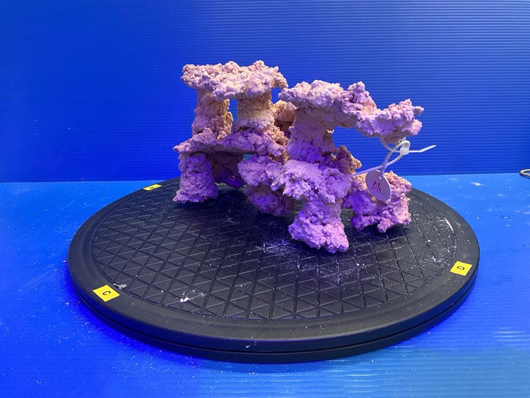 人工ライブロック　No.9-10 無害化処理済