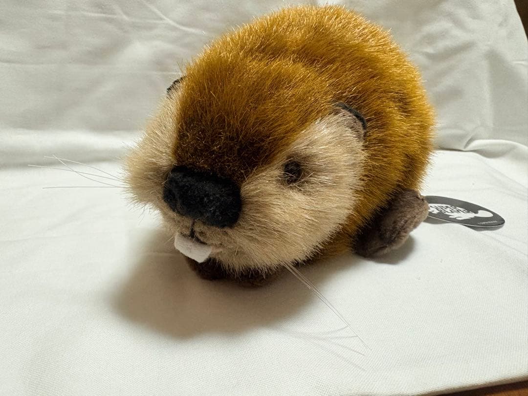 SUPER BEAVER スーパービーバーちゃん ぬいぐるみ