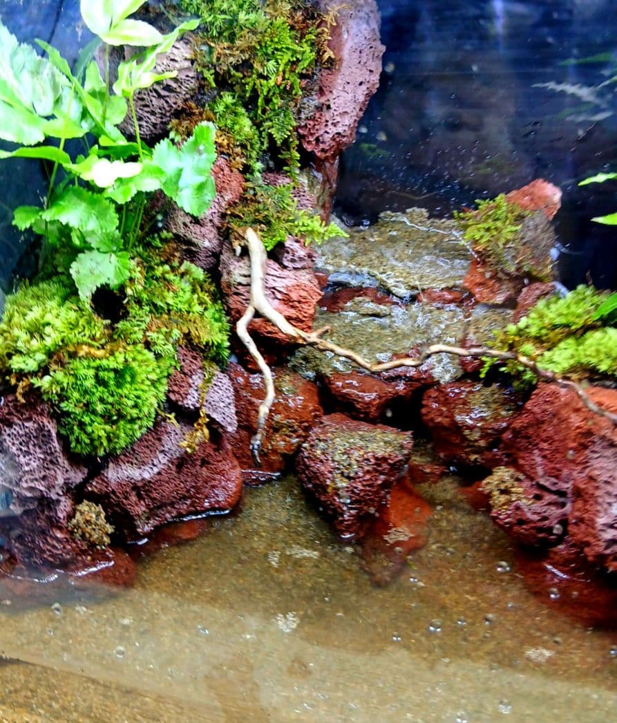 アクアテラリウム 滝 完成品 GEX 赤溶岩石レイアウト