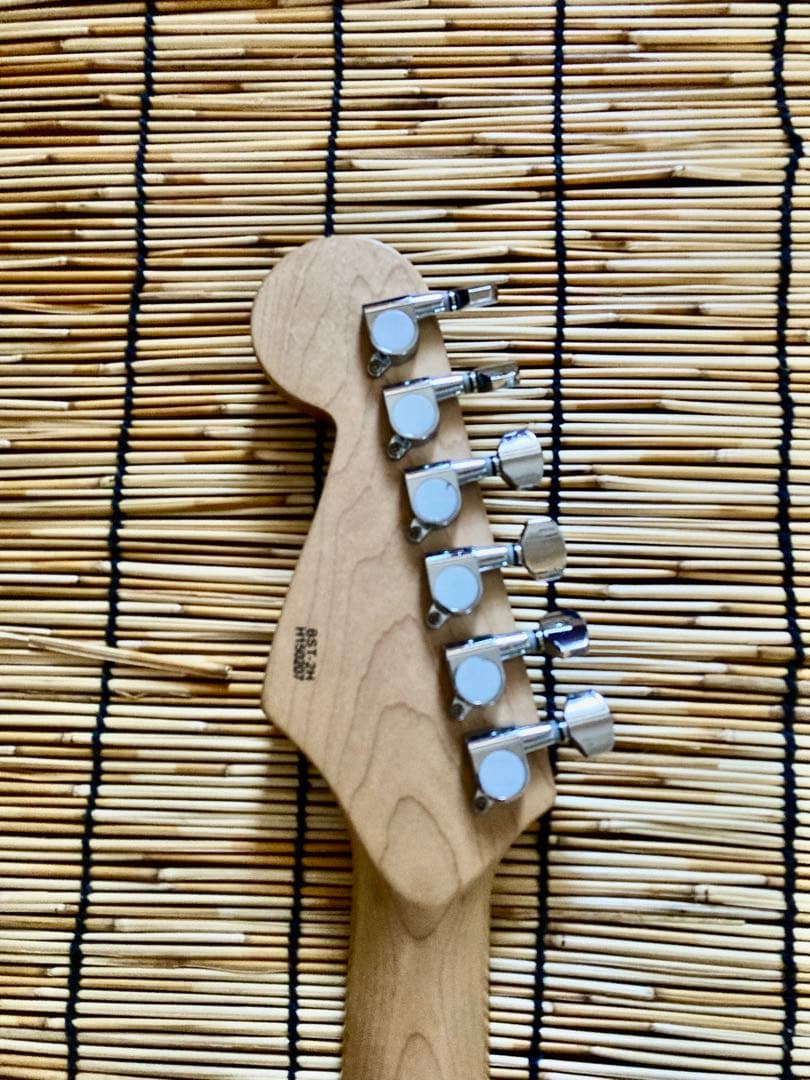 ☆値下決断 ☆美品　改造して新機能満載　ローノイズ化したBUSKERS ST