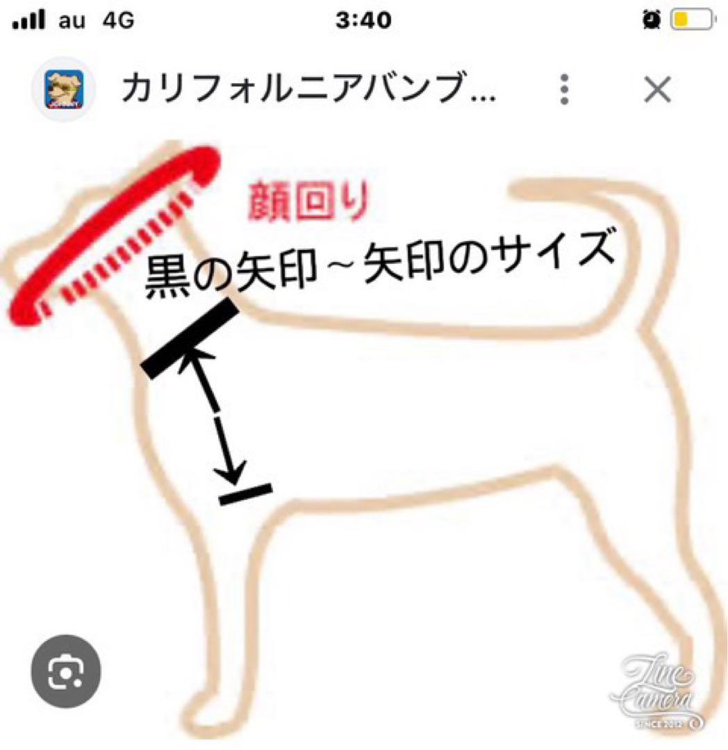 B420.pon2pan2☆オーダー☆犬お着物☆犬お引き摺りお着物 - メルカリ