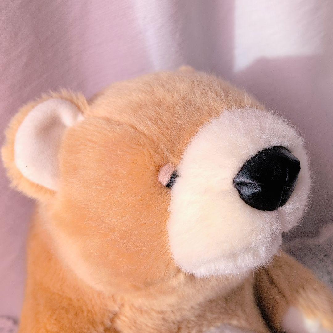 モンスイユ マレーちゃん　くま　ヒグマ　ぬいぐるみ　25cm