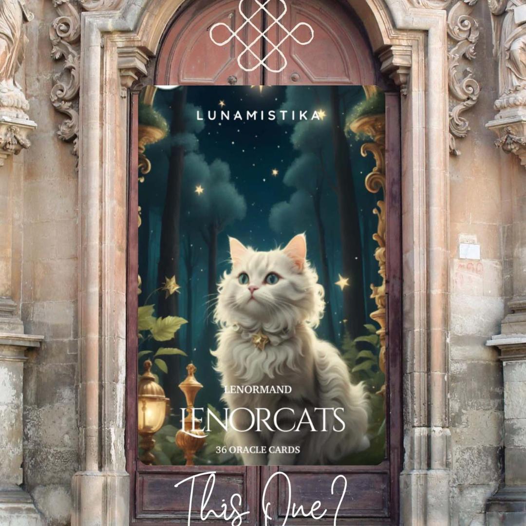 入荷1点のみ✨スペイン作家のキュートデッキ✨柔らか猫ちゃんの