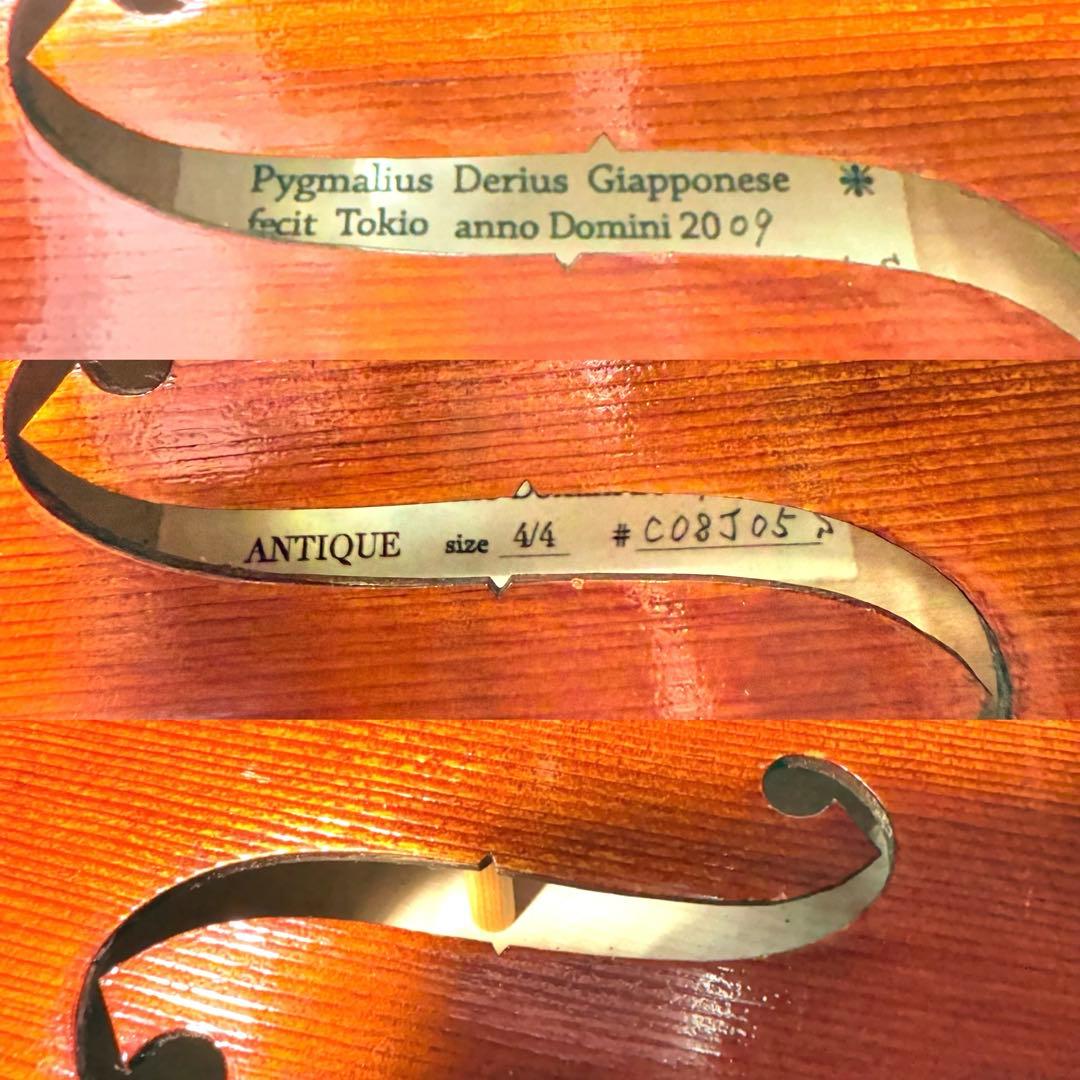 マンモス Pygmalius Derius Giappones 4/4