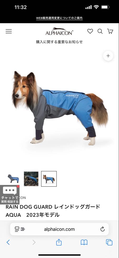 アルファアイコン RAIN DOG GUARD AQUA 2023年モデル