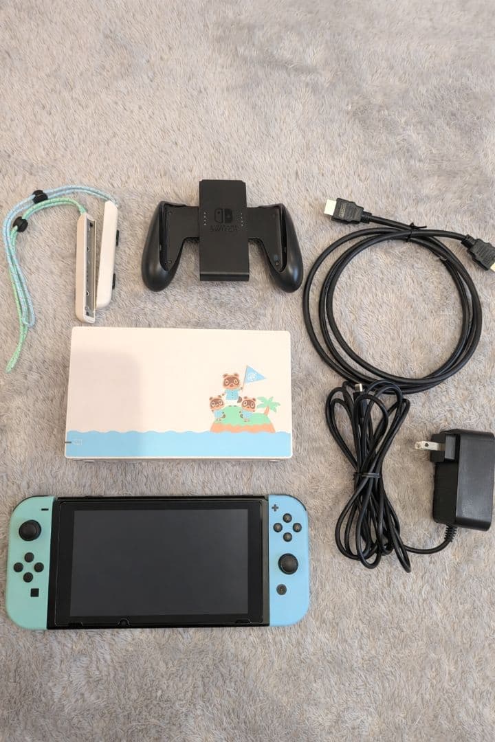 Nintendo Switch 本体 どうぶつの森