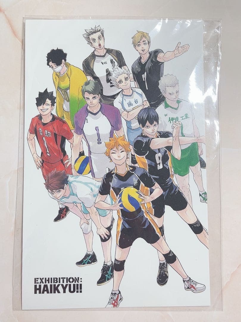 ハイキュー ポストカード 原画展 春の3匹猫 50枚セット