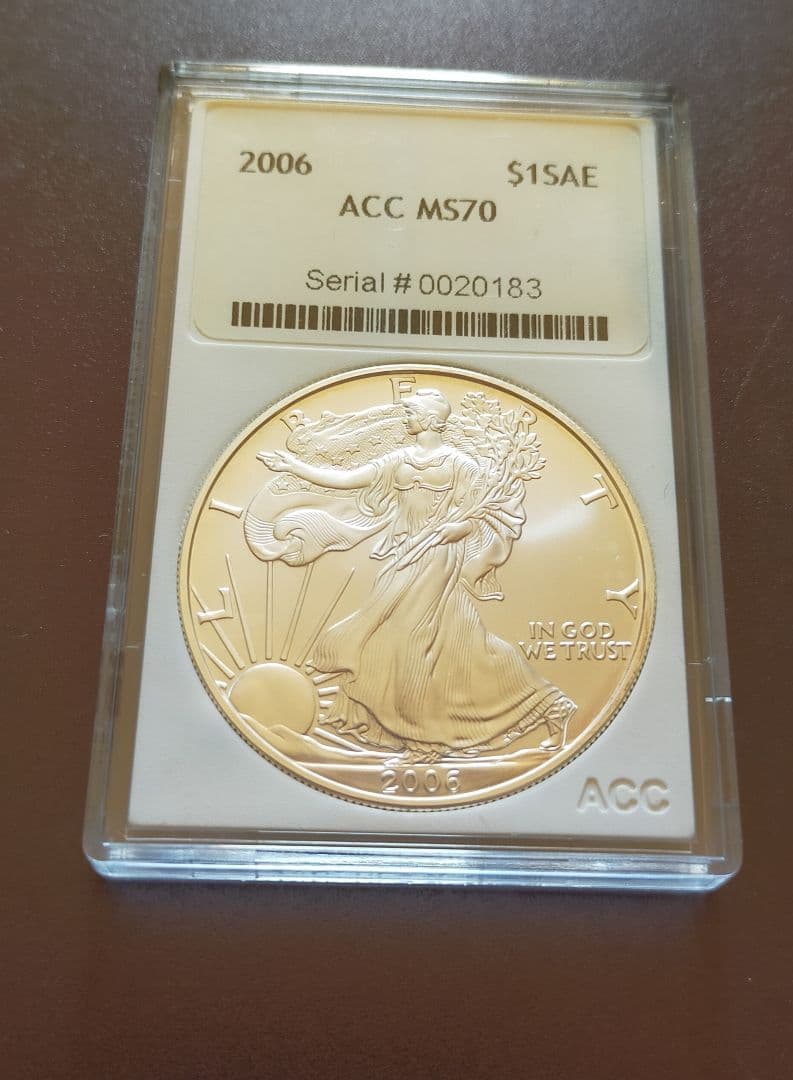 アウトレット ショップホビー・楽器・アート - アメリカン イーグル