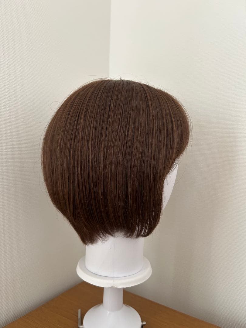 医療用ウィッグ アンベリール スーパーハイグレードタイプ　人毛MIX LL