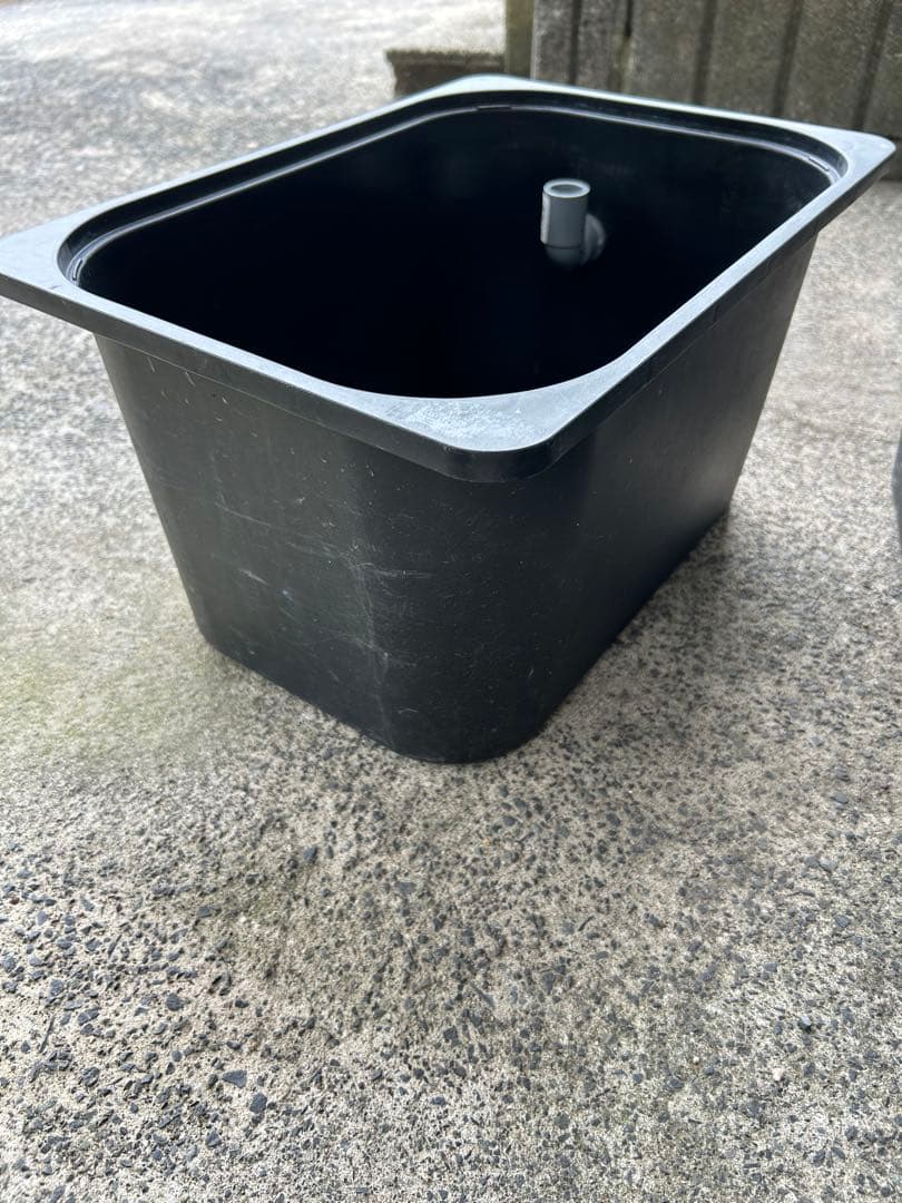 最終セール めだか飼育ケース20L IKEAトロファスト 黒色