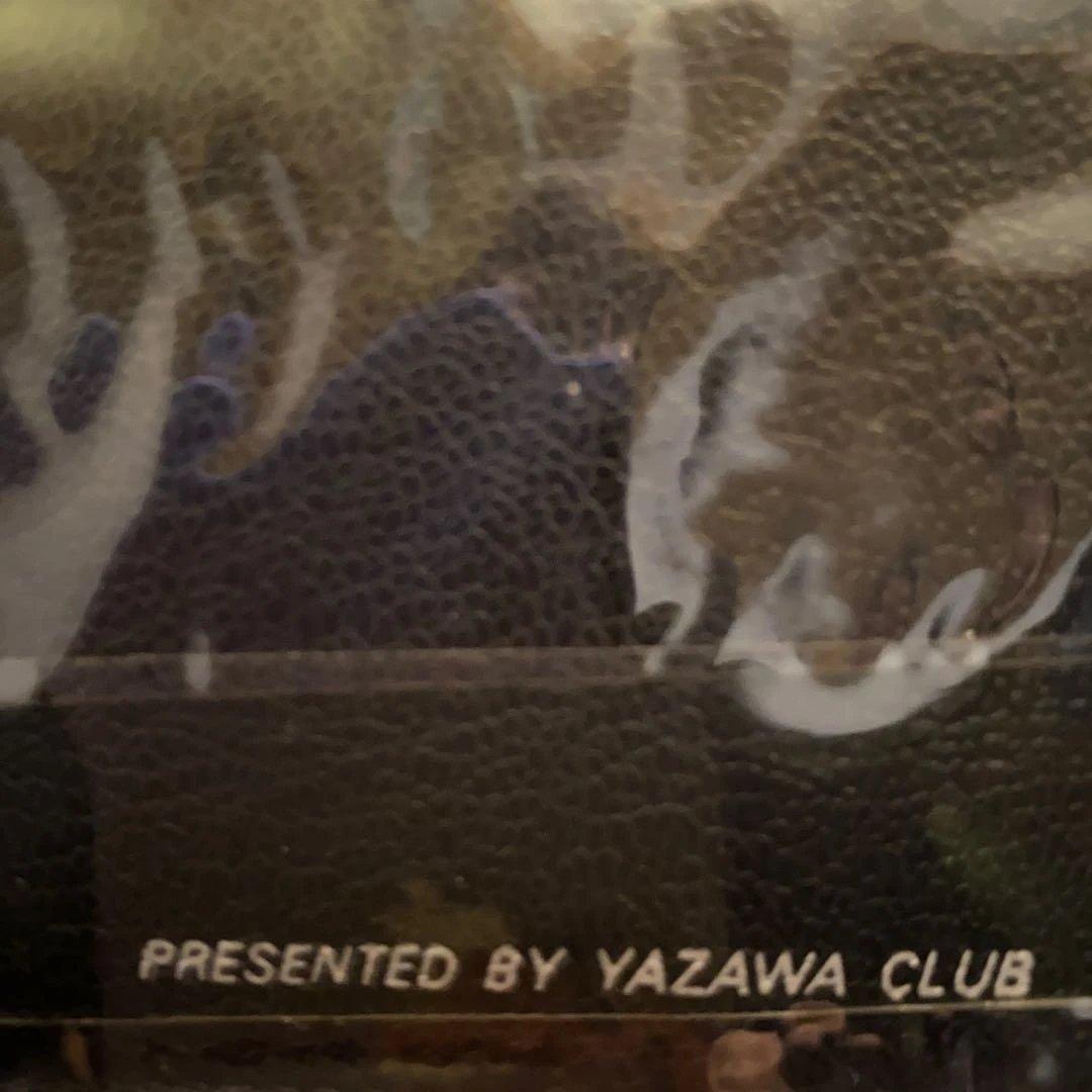 YAZAWACLUBフデロゴYAZAWA 名刺入れ？パスケース透明ポケット付き